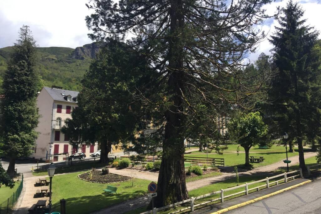 Cocon De La Vallee D'Ossau , Veritable Havre De Paix - 4 A 6 Pers Eaux-Bonnes Eksteriør billede